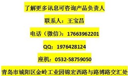 实验法检测室内空气质量检测仪LB-221图片2