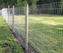 护栏网出售草原围栏网隔离栅图片