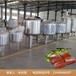 血豆腐生产线价格血豆腐加工设备供应