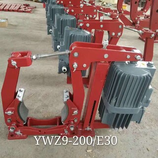 焦作制动器YWZ3B-315/45制动器华伍制动器图片2