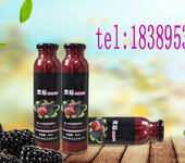 黑莓复合果汁饮品代工贴牌