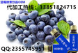 江苏南京液体饮料代加工植物提取物性价比最高