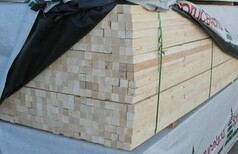 杭州加松木方多少钱一立方图片0