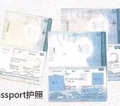 一手办理香港专才移民、投资移民、一人申请、全家到位