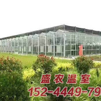 玻璃连栋温室工程建设