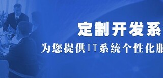 大大神网软件开发设计软件定制图片1