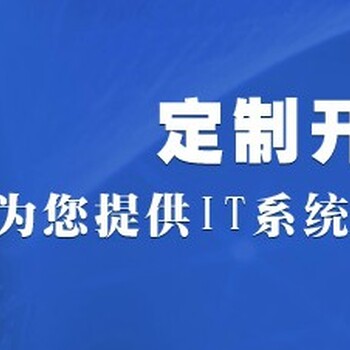 企业转型升级之路大大神软件开发软件设计软件定制