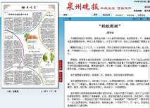 泉州晚报登报遗失电话图片2