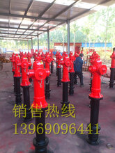 宁夏厂家供应快开调压稳压防撞防冻自泄式地上消火栓SSFT100/65-1.6SSFT150/80-1.6图片