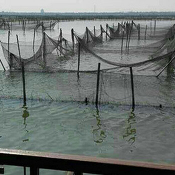 苏州阳澄湖大闸蟹价格阳澄湖大闸蟹养殖场