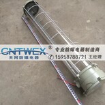 防爆防爆荧光灯BPY-240W隔爆型防爆荧光灯图片3