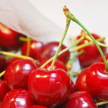 美国水果进口报关代理丨美国樱桃进口备案流程