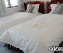 北京酒店宾馆客房专用棉织品布草批发定做图片价格