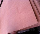 临沂瑞森木业科技木板胶合板多层夹板垫板异形板