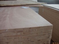 临沂瑞森木业8mm厚芯板包装板门板胶合板多层板三合板图片1