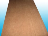 杨木芯包装板17mm垫板多层板托盘板出口包装板胶合板图片4