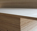 胶合板厂家床板多层包装板杨木整芯半芯碎芯