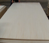 临沂瑞森木业供应二次成型优质环保胶合板多层夹板杨木板