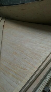 托盘包装板厂家杨木胶合板包装板多层胶合板