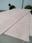 多层胶合板杨木多层板整芯桃花面胶合板