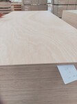 贴面家具板环保E0级家具胶合板多层高档家具板