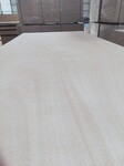 杨桉芯25厘超平家具板胶合板多层板价格