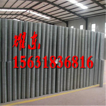 供應(yīng)pvc電焊網(wǎng)鍍鋅電焊網(wǎng)廠家電焊網(wǎng)片批發(fā)