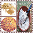 燕麥粉燕麥蛋白粉營養補充劑源頭廠家圖片