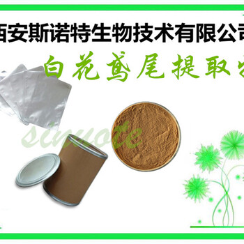 白花鸢尾提取物白花鸢尾粉10:1粉末状斯诺特