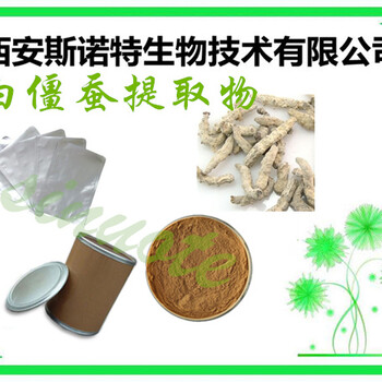 僵蚕提取物粉白僵蚕提取物常规10:1精细粉末