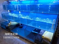 福建好水族海鲜池定做水产海鲜鱼缸定做厦门鱼缸水族馆图片3