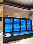 福建好水族海鲜池定做水产海鲜鱼缸定做厦门鱼缸水族馆图片4