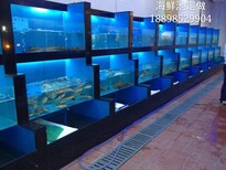 惠州海鲜池鱼缸制作惠州海鲜池定做惠州海鲜池鱼缸定做图片4