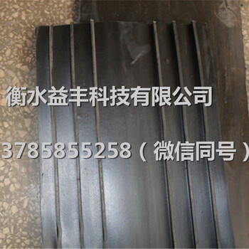 外貼式止水帶技術(shù)交底