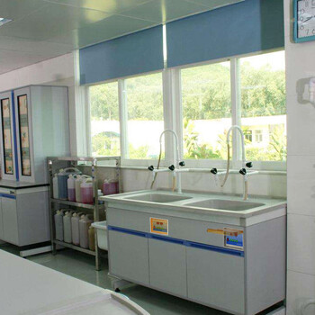 高校实验室常用生元仪器SYU系列内嵌型超声波清洗机
