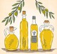 青岛橄榄油进口案例