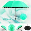 创意遇水开花雨伞防紫外线创意遮阳伞女三折黑胶伞