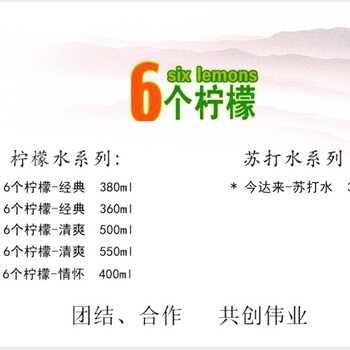 上海鑫诺饮品6个柠檬系列饮料大力度招商