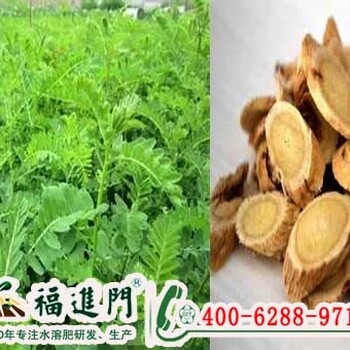 黃芪增產(chǎn)福進(jìn)門中藥材膨果水溶肥