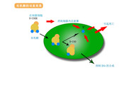 有什么办法可以去除饲料中的霉菌yxpfasdas图片1