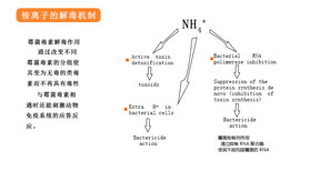 有什么办法可以去除饲料中的霉菌yxpfasdas图片2