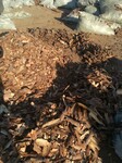 供应农业栽培松树皮优质松树皮生产厂家
