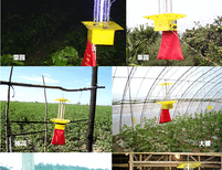 佳多农业频振式杀虫灯在棉田害虫治理中的应用图片3
