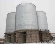 山东正阳提供大型粉煤灰储存罐水泥储存仓钢板仓图片4