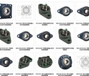 上海带座外球面轴承价格，泓施带套外球面轴承规格，泓施规格报价图片