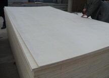 生产7厘漂白杨木面胶合板多层板包装板图片4