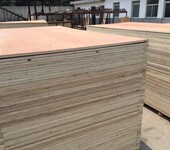 厂家直销杨木板胶合板多层板桃花芯板规格齐全、可漂白