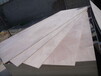 厂家直销不易断裂胶合板E1级胶水多层板三合板品质保证