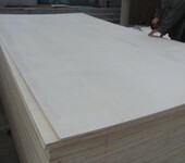 厂家直销多层板杨木胶合板包装箱专用多层胶合板