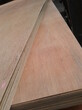 9mm桉木芯夹板九厘板普通多层板门板垫板包装板